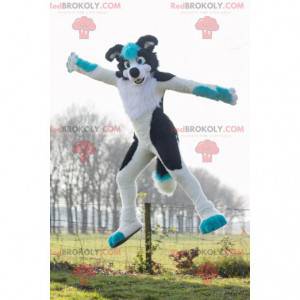 Svart og blå hvit hundemaskot - Redbrokoly.com