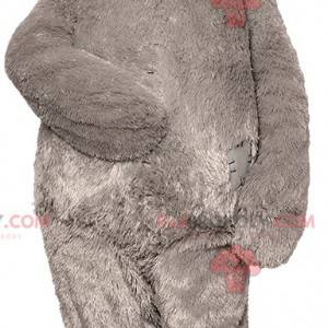 Já vám slavný maskot šedého medvídka - Redbrokoly.com