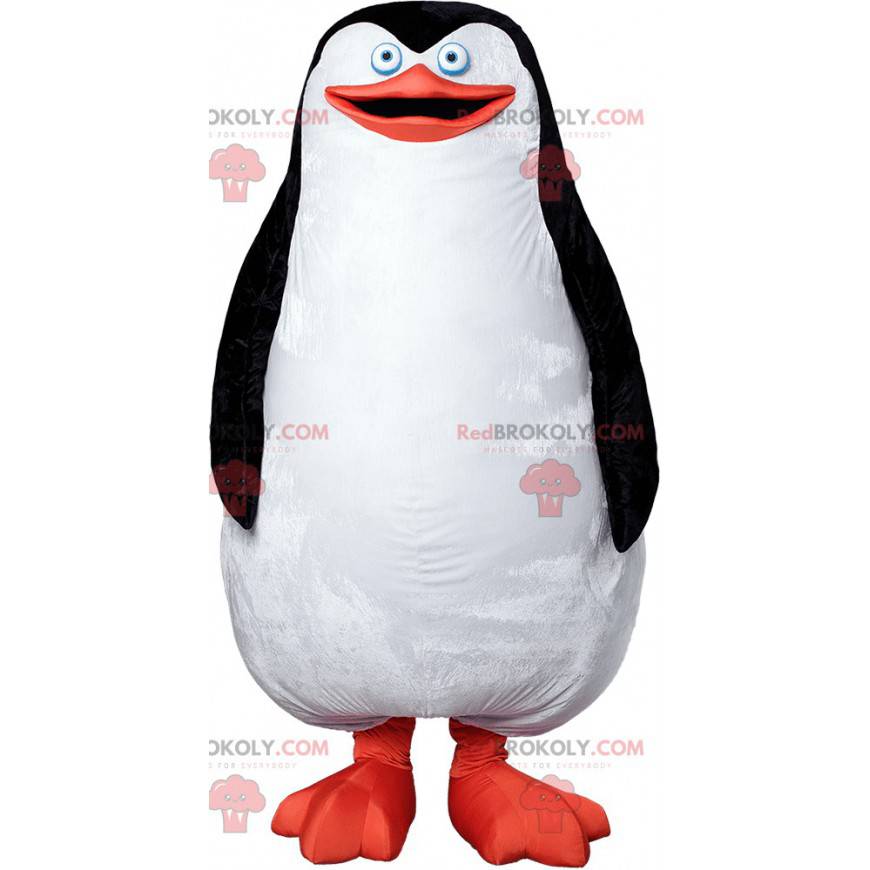 Baculatý a roztomilý bílý černý a oranžový maskot tučňáka -