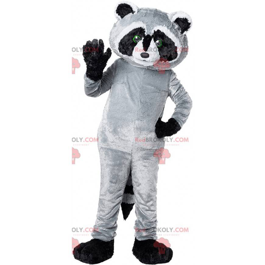 Kæmpe sort grå og hvid vaskebjørn maskot - Redbrokoly.com