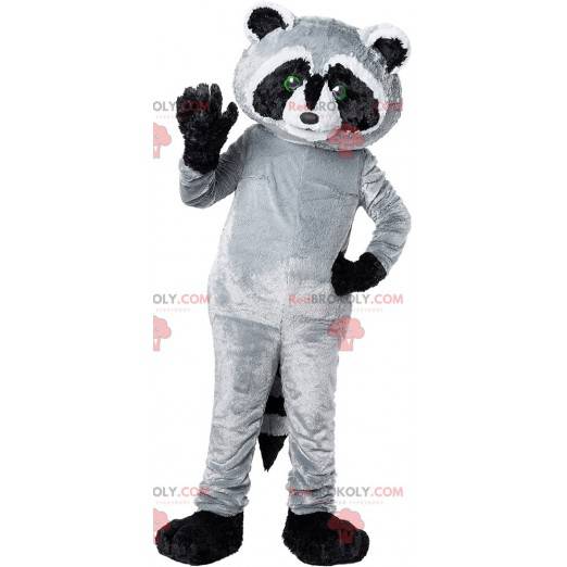 Gigantisk svart grå og hvit vaskebjørn maskot - Redbrokoly.com