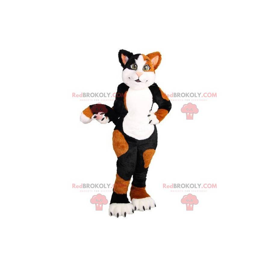 Mascote gato branco preto e marrom macio e fofo - Redbrokoly.com