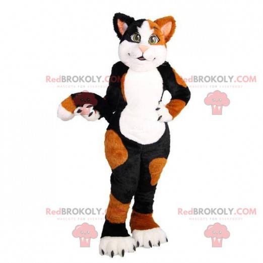Mascote gato branco preto e marrom macio e fofo - Redbrokoly.com