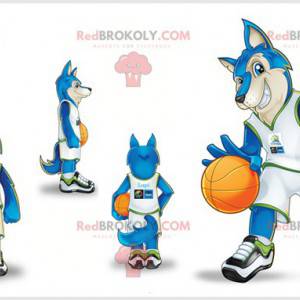 Mascote do lobo vestido de jogador de basquete. Lobo azul -