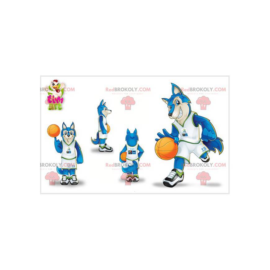 Mascotte lupo vestito da giocatore di basket. Lupo blu -