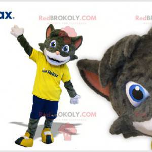 Gray and white cat mascot in sportswear - Redbrokoly.com