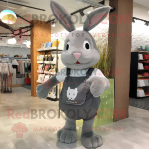 Gray Rabbit mascotte...