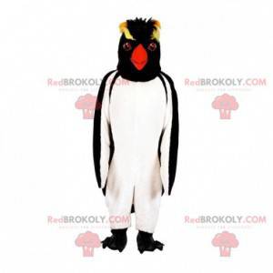 Penguin penguin mascot. Crested penguin mascot - Redbrokoly.com