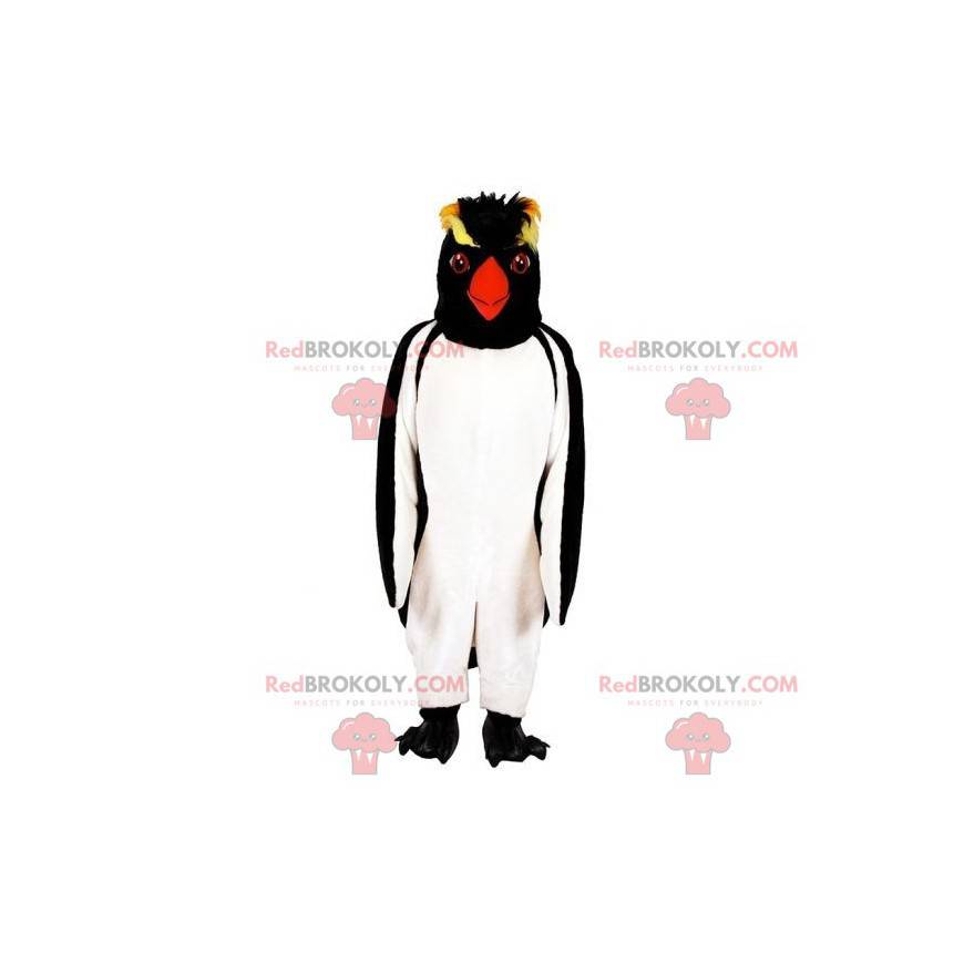 Mascota de pingüino pingüino. Mascota del pingüino crestado -