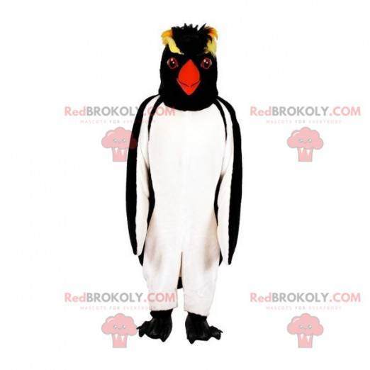 Mascota de pingüino pingüino. Mascota del pingüino crestado -