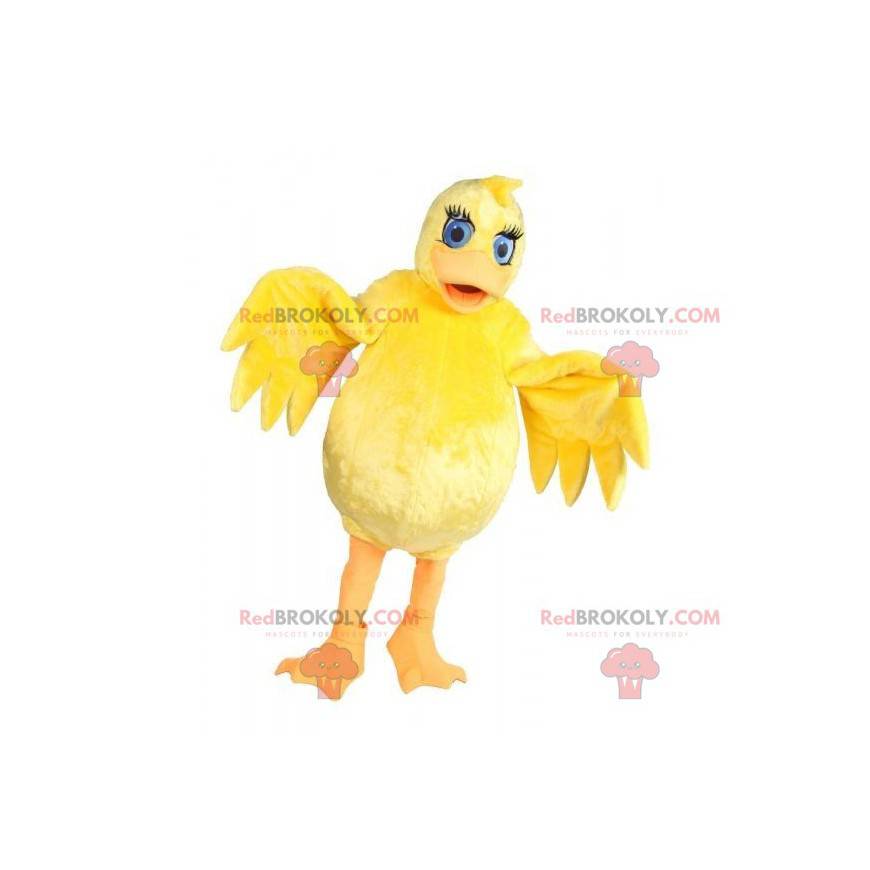 Stor klumpet og sød gul kyllingemaskot - Redbrokoly.com