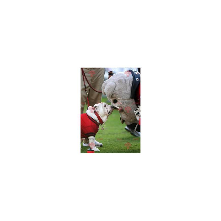 Mascote cão bulldog cinzento - Redbrokoly.com