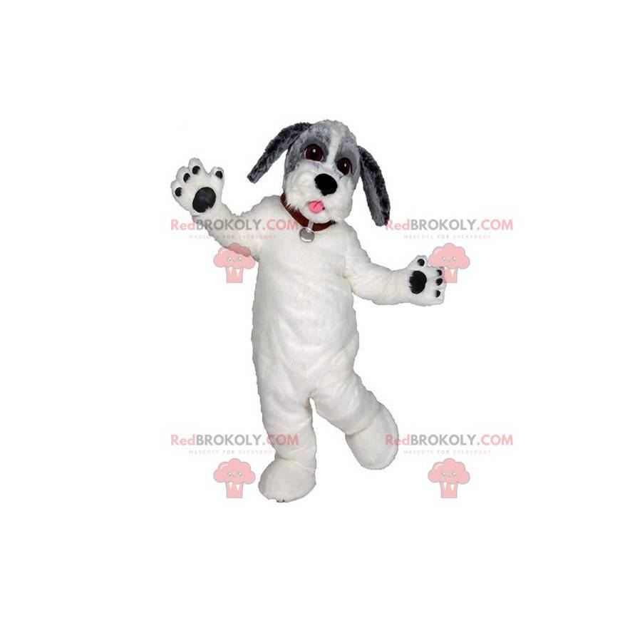 Mascotte cane bianco grigio e nero. Bellissimo cane tricolore -