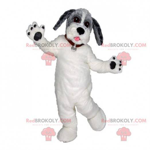 Mascote do cão branco cinza e preto. Lindo cachorro tricolor -
