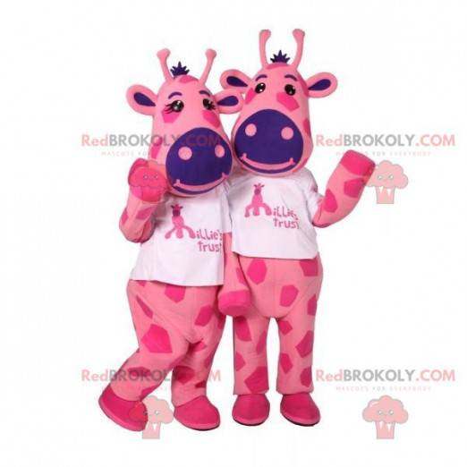 2 mascots of pink and blue cows. 2 cows - Redbrokoly.com