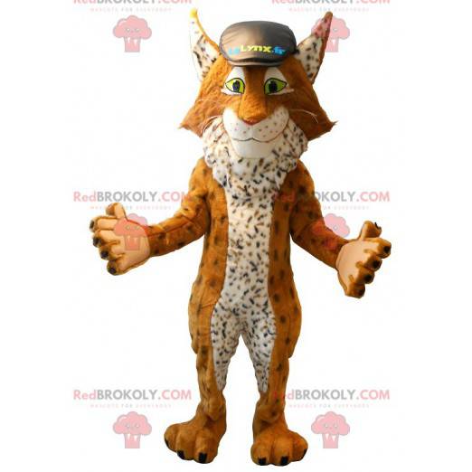 Mascotte de lynx célèbre mascotte du comparateur d'assurance -