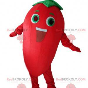 Mascote gigante da pimenta vermelha. Fantasia de pimenta