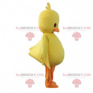 Yellow chick mascot. Chick costume, giant canary -