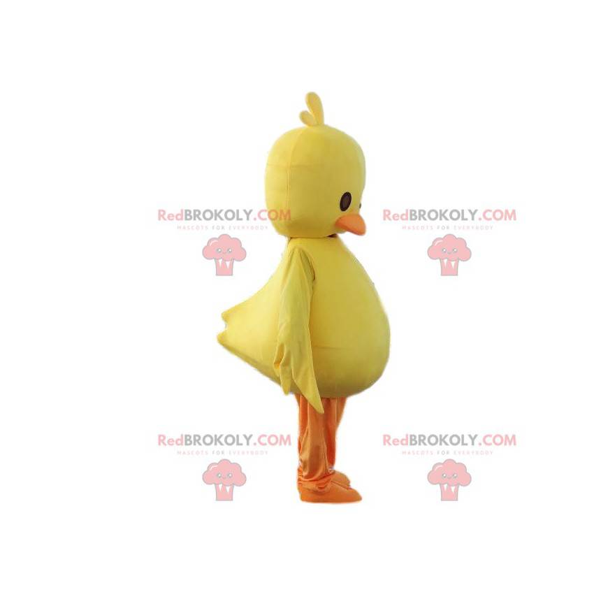 Mascota de pollito amarillo. Disfraz de pollito, canario
