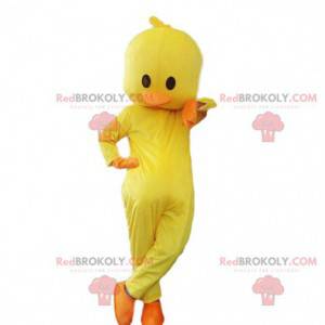 Mascota de pollito amarillo. Disfraz de pollito, canario