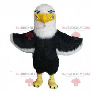 Golden eagle mascot, brown and white. Eagle costume -