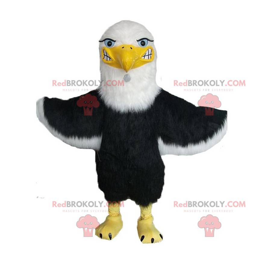 Mascote da águia dourada, marrom e branco. Fantasia de águia -