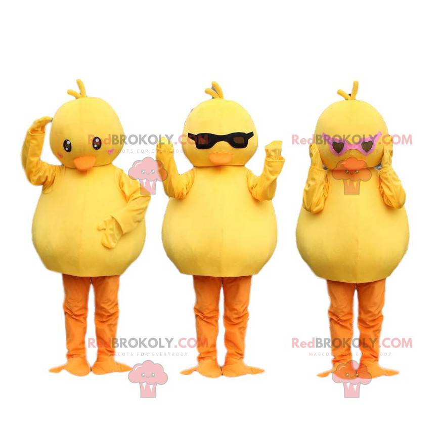 3 pulcini mascotte, canarini gialli. Costume da uccello -
