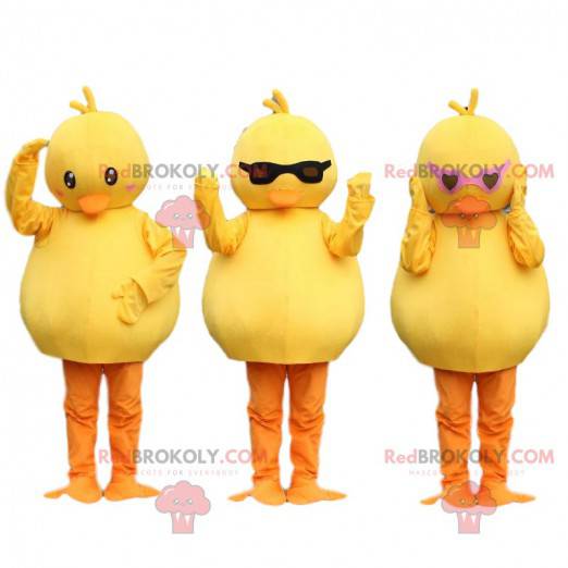3 mascots chicks, yellow canaries. Bird costume - Redbrokoly.com