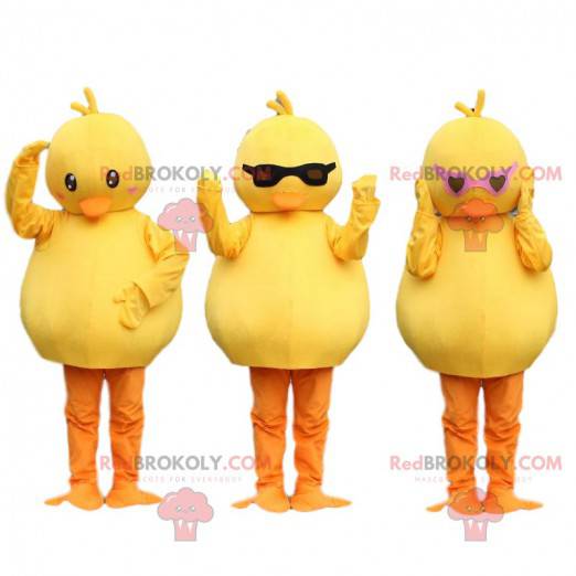 3 mascottes poussins, canaris jaunes. Déguisement oiseau -