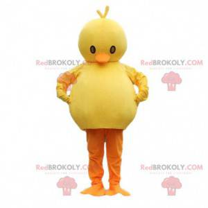 Mascotte poussin dodu jaune et orange. Costume d'oiseau dodu -