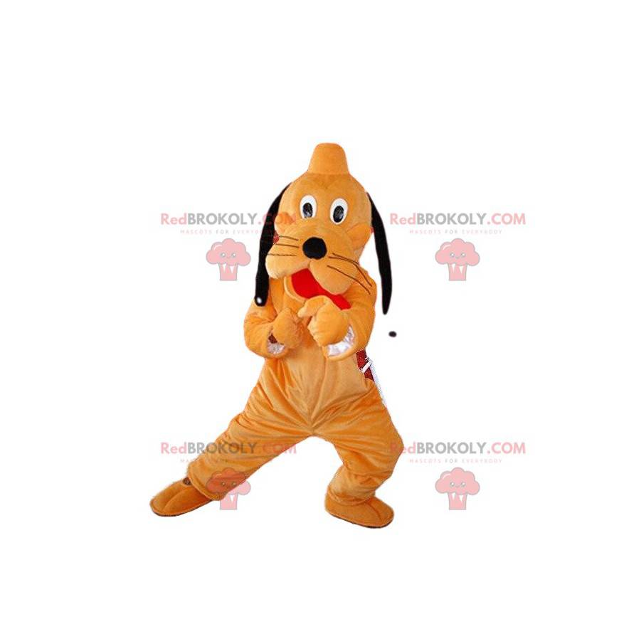 Mascot Pluto, famous dog orange and black Walt Disney -