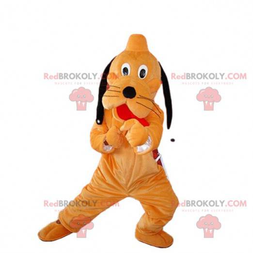 Mascot Pluto, famous dog orange and black Walt Disney -