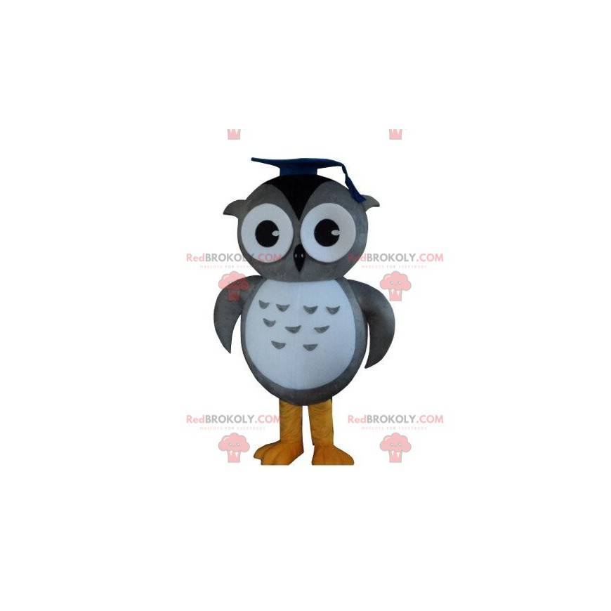 Great gray owl mascot, owl costume, graduate - Redbrokoly.com