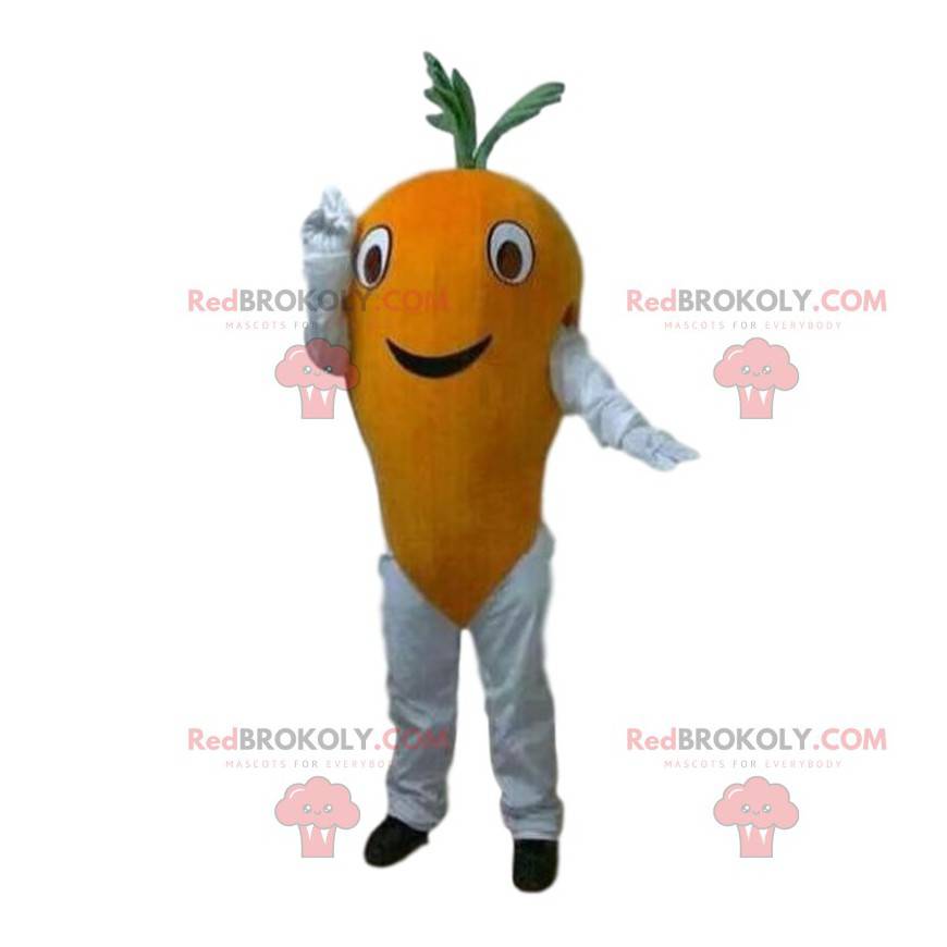 Karottenmaskottchen, Karottenkostüm, Gemüsekostüm - Karottenmaskottchen, Karottenkostüm, Gemüsekostüm -