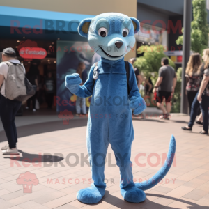 Blue Mongoose mascot costume character dressed with a Skinny Jeans and Shoe laces