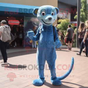 Blue Mongoose mascotte...