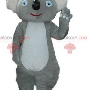 Mascotte grijze koala, Australië kostuum, Australische dieren -