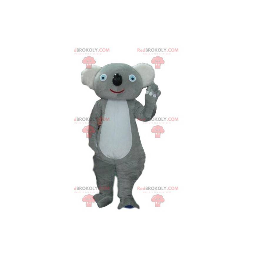 Mascotte de koala gris, costume Australie, animal australien -