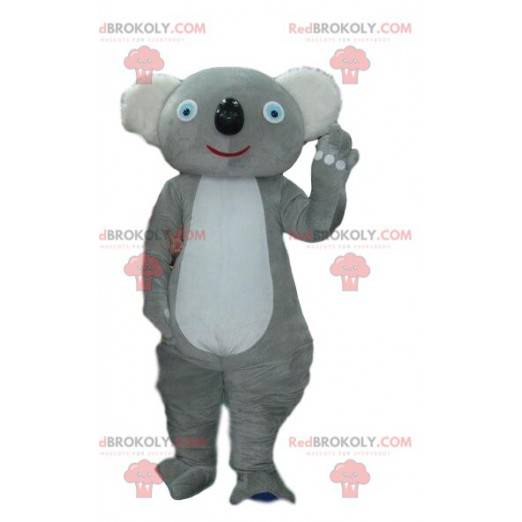 Gray koala mascot, costume Australia, Australian animal -