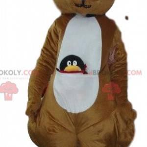 Mascotte canguro, costume canguro, animale Australia -