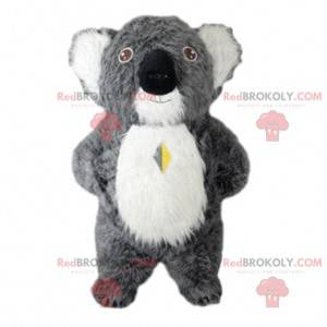 Gray koala mascot, costume Australia, Australian animal -