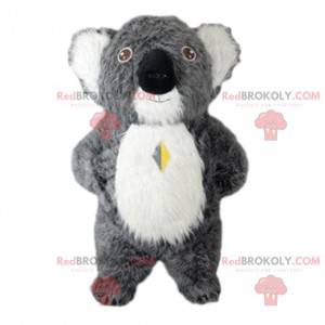 Mascote coala cinza, fantasia Austrália, animal australiano -