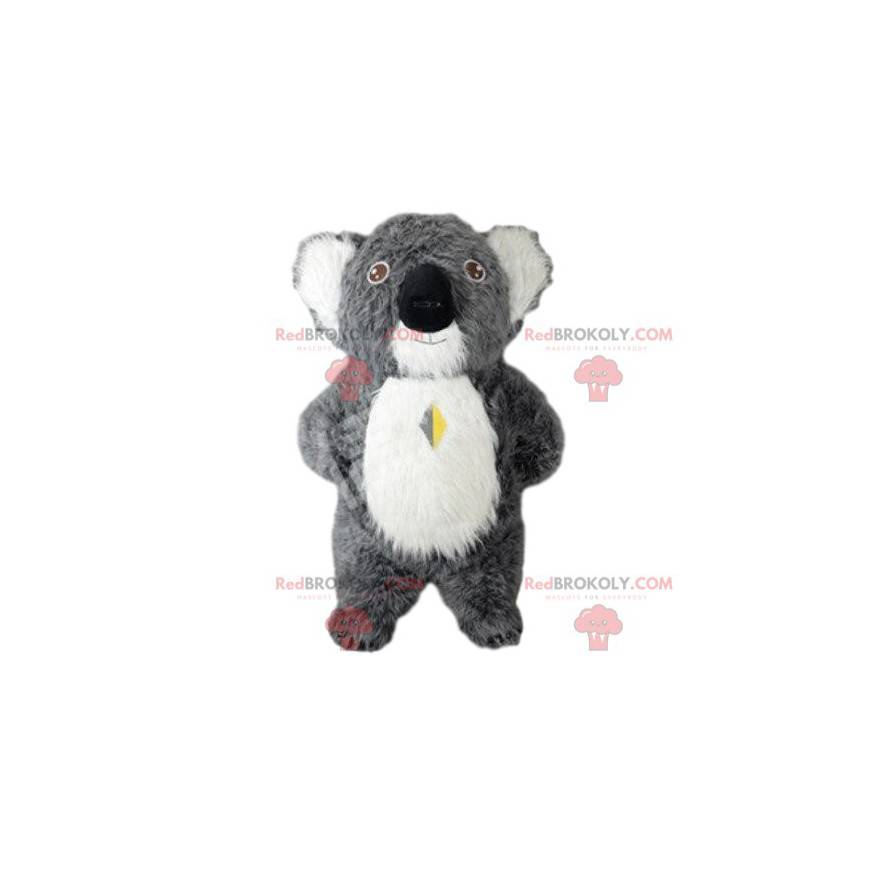 Mascotte koala grigio, costume Australia, animale australiano -