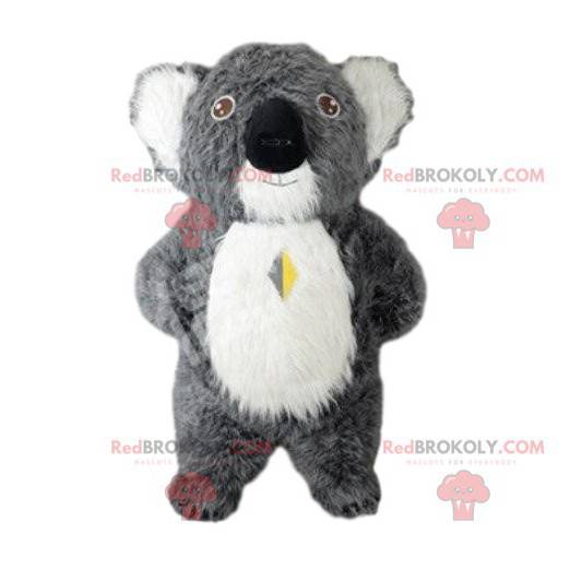 Grå koala maskot, drakt Australia, australsk dyr -