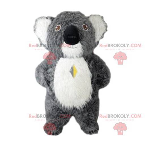 Mascotte koala grigio, costume Australia, animale australiano -