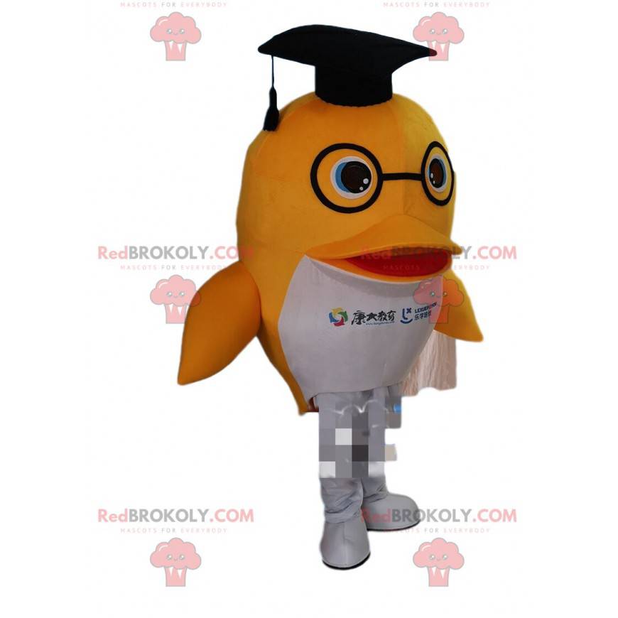 Dolphin mascot, fish costume, graduate costume - Redbrokoly.com