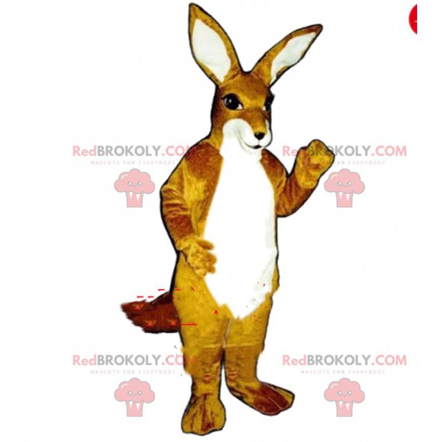 Kænguru maskot, kænguru kostume, dyr Australien - Redbrokoly.com