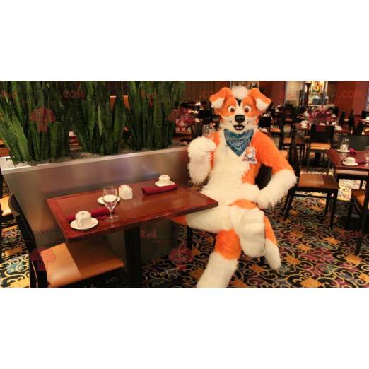 Oranje en witte hond mascotte - Redbrokoly.com