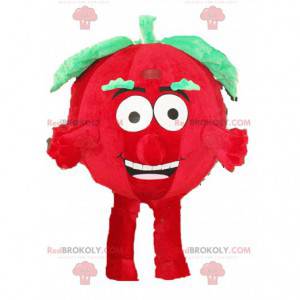 Maskot rajče, zeleninový kostým, převlek z červeného ovoce -