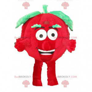 Tomato mascot, vegetable costume, red fruit disguise -